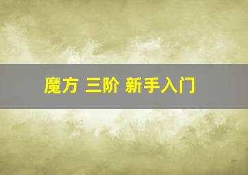 魔方 三阶 新手入门